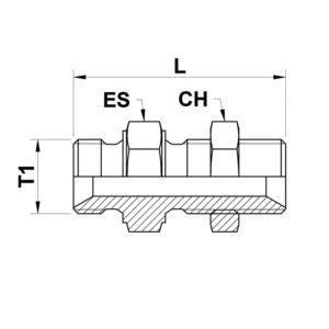 skottgenomgång BSP bulkhead