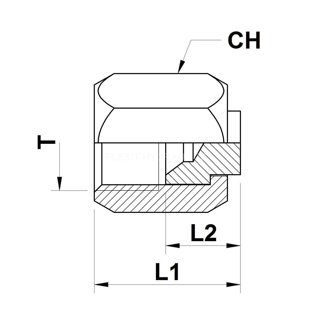 HUV JIC 101033